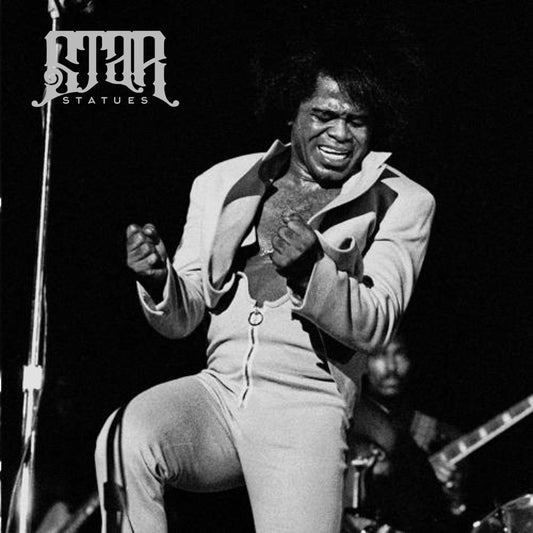 James Brown Bronze Statue - Star Statues